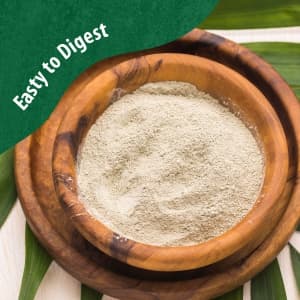 Easy To Digest - Dosa Mix