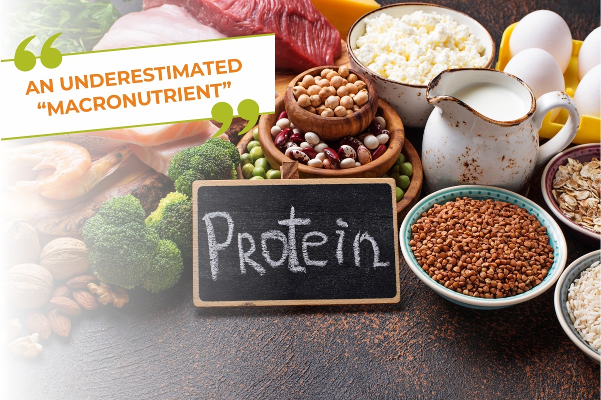 Protein - An Underestimated Macronutrient