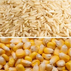 pasta ingredients - rice and maize